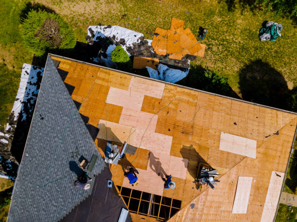 Best Commercial Roofing Services  in Kingstree, SC